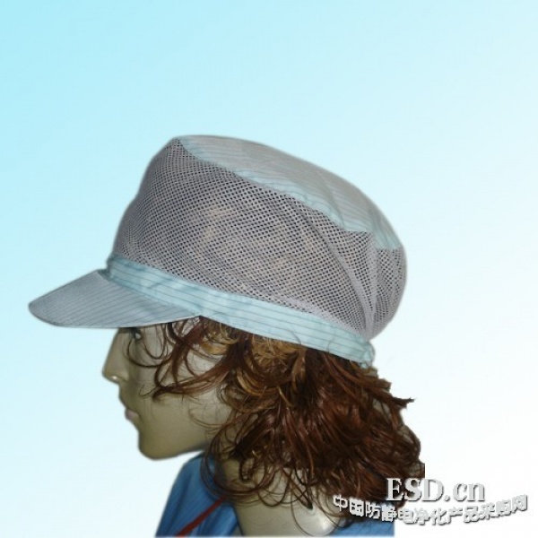 网孔防静电帽